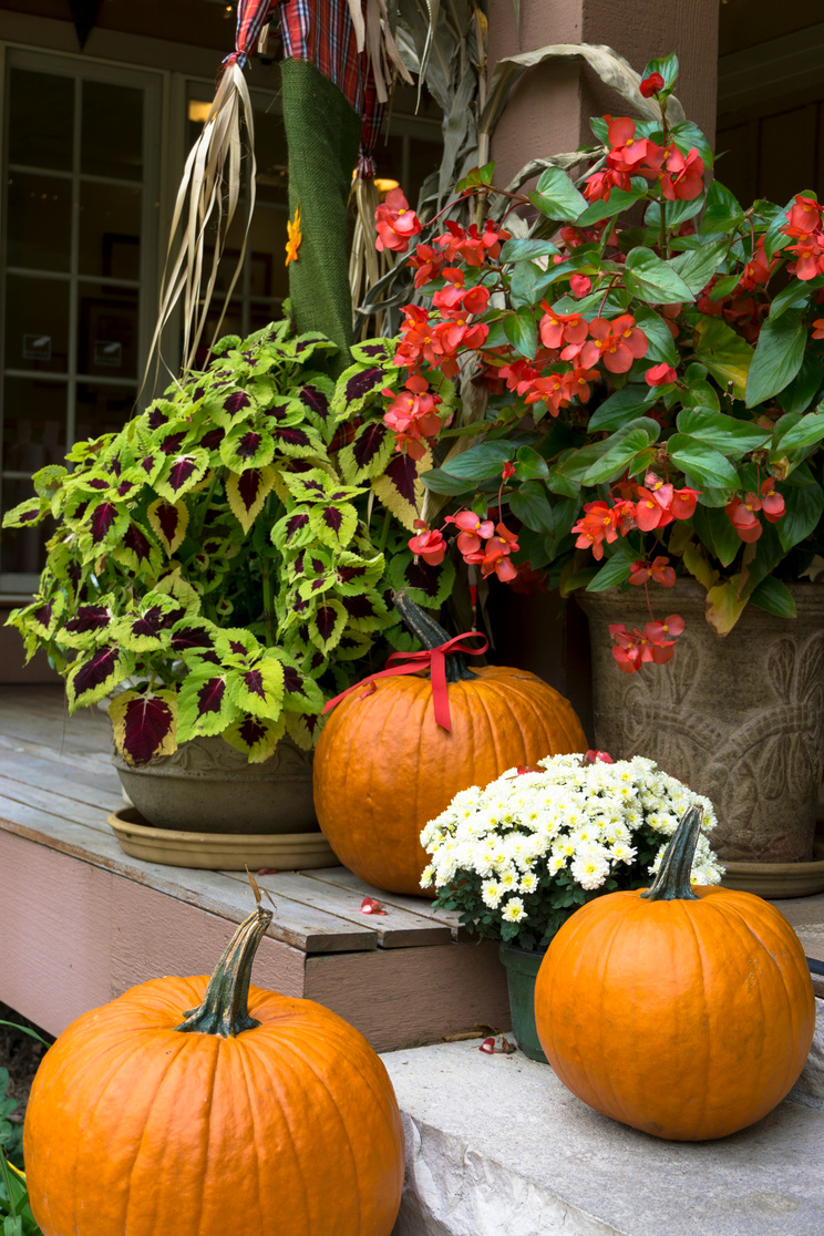 Autumn Decorations in Michigan